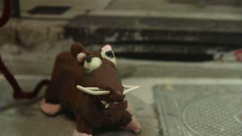 La faune de Marseille